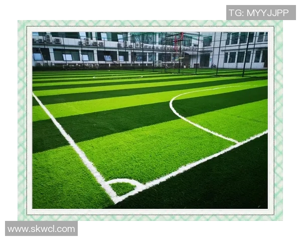 如何在家中打造一个理想的足球场体验与设计指南